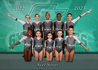 5x7TeamSILVERToPrint copy