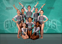 5x7TeamLevel3 FINALtoprint