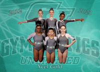 5x7TeamGolduse copy